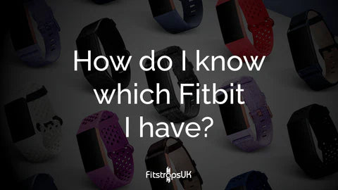 Selection of different Fitbit models with various strap styles